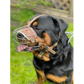 STRONG Wire Metal muzzle Basket Dog Muzzle Rottweiler,Mastiff Golden Retriever & other (R4, Silver/Brown Leather)