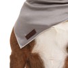 Reddy Grey Cooling Dog Bandana, Large/X-Large