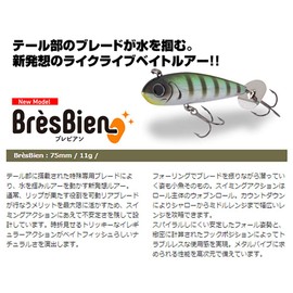 CORMORAN VIVA BREVIAN #11D Kinkro/Gold Blade Lure