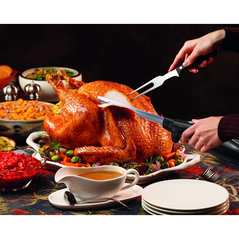 Hamilton Beach Electric Knife for Carving Meats, Poultry, Bread, Crafting