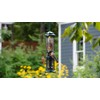 Squirrel Buster Nut Feeder Squirrel-Proof Bird Feeder for Nuts and