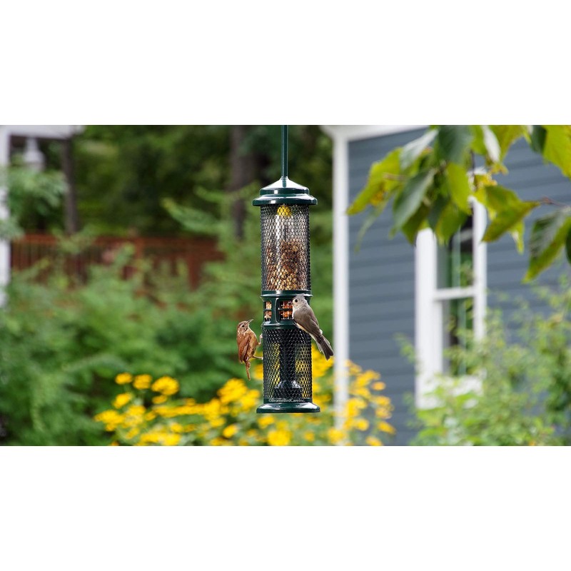 Squirrel Buster Nut Feeder Squirrel-Proof Bird Feeder for Nuts and