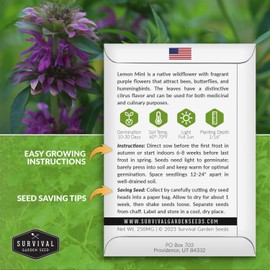 Lemon Mint Seeds for Planting - 2 Packets with Instructions to Plant & Grow Fragrant Lemon Mint in Your Home Herb Garden - Non-GMO Heirloom Variety - Survival Garden Seeds