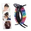 OATIPHO Elegant Rainbow Hair Clamp Clips 2 Strong Hold Barrettes