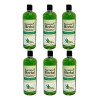 6 Pzs Shampoo Secreto Herbal Extracto De Sábila Crecimiento