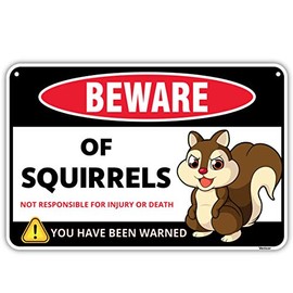 Venicor Squirrel Decor Sign - 8 x 12 Inches - Aluminum - Funny Squirrel Gifts for Squirrel Lovers - Squirrel Stickers Call Stuffed Plush
