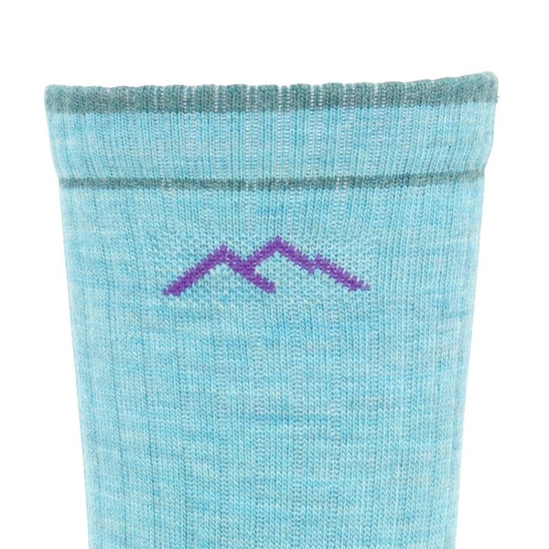 Darntuff 19441903 Women's 1903 Micro Crew Cushion, aqua heather