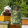 Beekeeping Clothes Jacket and Suit with Veil Hood, Front Zip,