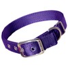 Hamilton Double Thick Nylon Deluxe Dog Collar, 1-Inch by 28-Inch, Purple