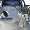 Dog Truck Bed Leash Tether Tie Down System for Two