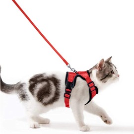 Cat Harness with Lead, Escape Proof Cat Lead Set, Adjustable, Soft Kitten Vest with Reflective Strips, Chest Harness for Small Kittens (Red, XXS)