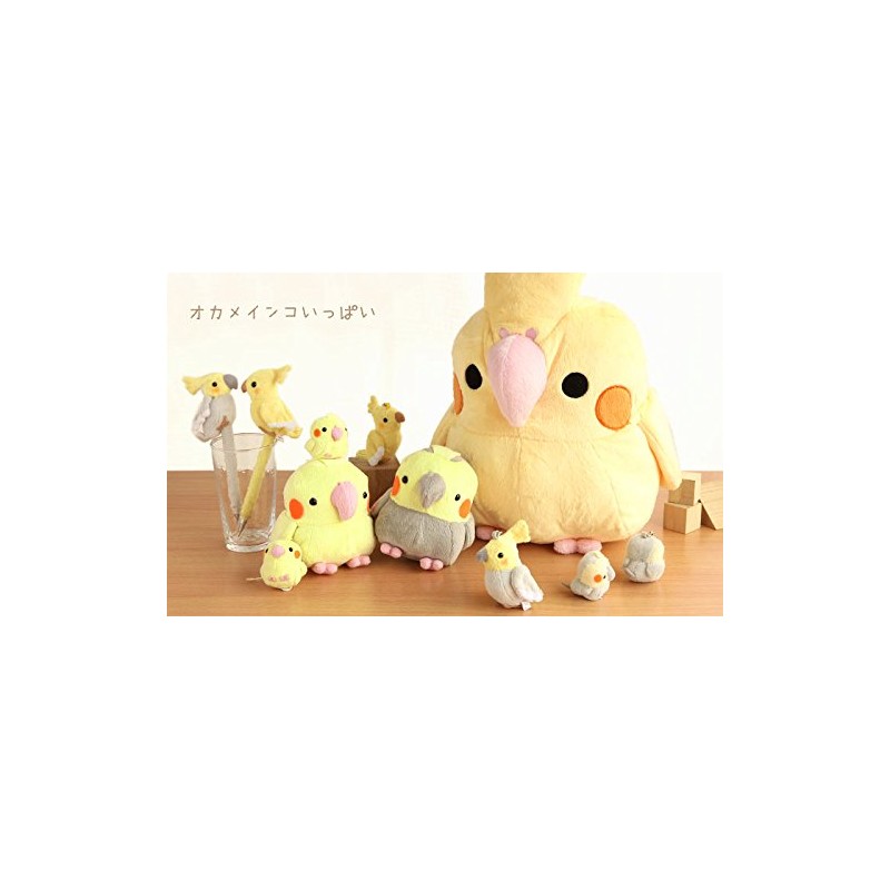 A-SHOW Munumam Hanadama, Cockatiel, Yellow