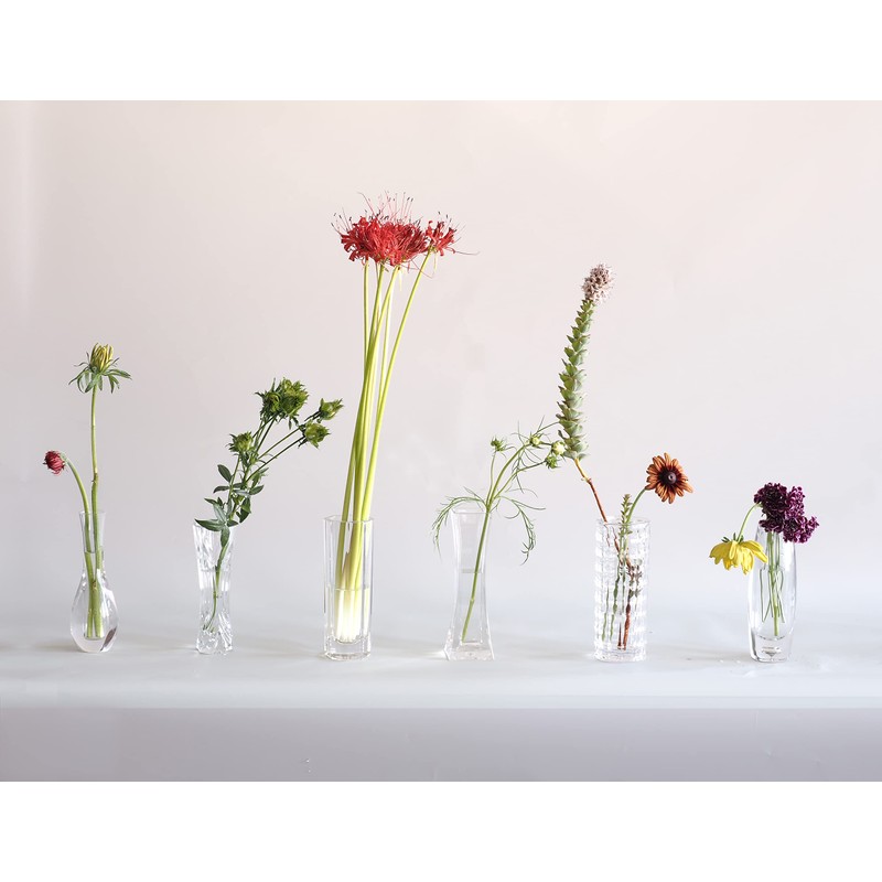 FOYER 2300068 Unbreakable Flower Base Polycarbonate, Stylish, Height 7.1 inches
