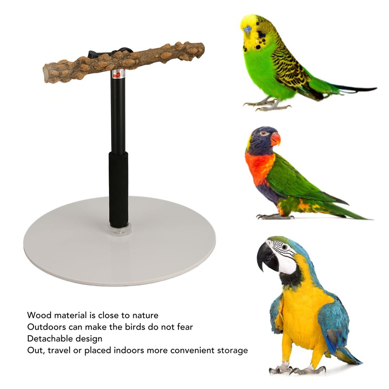 Bird Perch Stand, Adjustable Height Parrot Training Perch Stand Portable