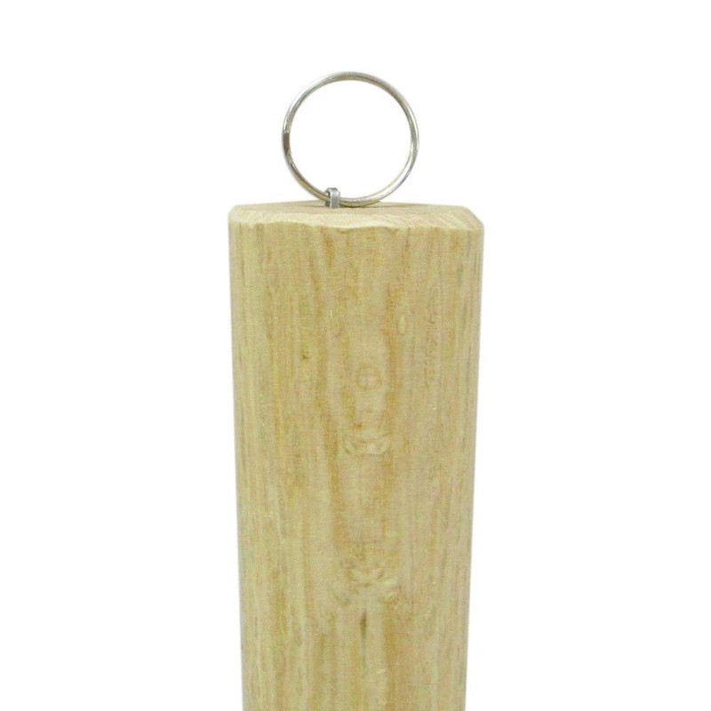 Young Lion Hand Pattern 701015