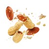 Fruidles Raw Peanuts (2 Pounds (Pack of 6))