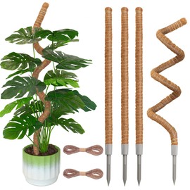 Moss Poles, 4 Pack 31.5inch Moss Poles for Climbing Plants Monstera, Large Monstera Plant Support, Bendable Moss Pole for Plants Monstera, Plant Sticks Support for Indoor Plants