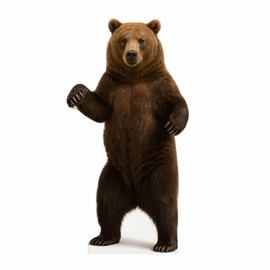 Grizzly Bear Cardboard Cutout Standee 4FT – Life Size Standup for Parties, Photo Booths, and Decorations