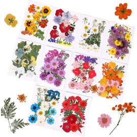 Gugxiom Flores Prensadas Secas para Resina, 10 Bolsas de 200 Piezas de Flores Prensadas, 10 Temas de Colores, Flores Secas para Arte de Uñas, Resina, Diseño de Joyería de (Tipo 13)