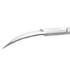 REMOS Scissors Double-Curved Stainless