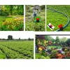 1/2 Inch Drip Irrigation Switch Valve - Barbed Ball Valve