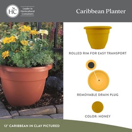 The HC Companies Caribbean Planter Pot - Outdoor & Indoor Plant Pot with Drainage Hole & Plug - Rolled Rim Plastic Pots for Plants & Flowers - Decorative Plant Pot (12" Honey, Pack of 2)