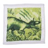 MIK funshopping Set of Magic Washcloths, Magic Cloth, Magic Towel,