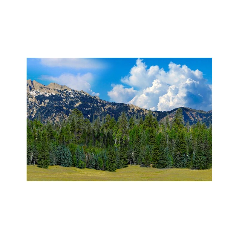 TrainJunkies Rocky Mountain Forest Model Railroad Backdrop - O Scale