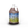 Kleen Free Naturally Preformed Enzyme Cleaner, Enzyme Solution, Multi-Purpose Cleaner,