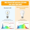 Full Spectrum Light Bulb, 6000K Natural Sunlight Bulbs, 9W 60W