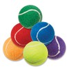 Zanies Mini Puppy Pride Tennis Balls for Dogs, 6-Packs
