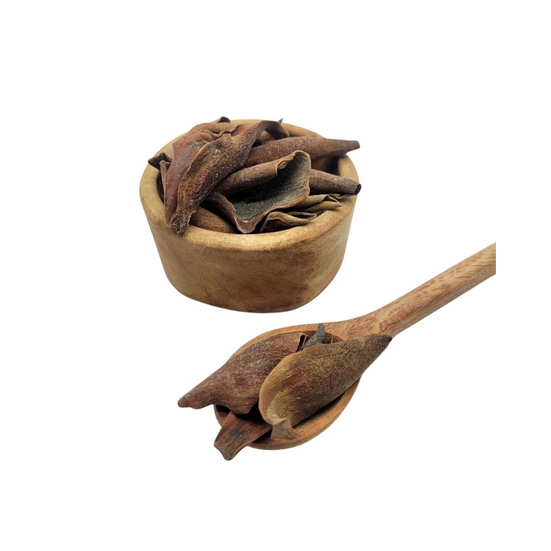 Té Yoloxochitl Magnolia, Té Herbal Infusion, Tisana Artesanal 100% Natural