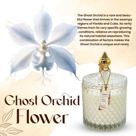 Luxury Scented Candle Gift - Ghost Orchid Rare Flower Fragrance in Elegant Jar, Long-Lasting Soy Wax Candle, Gift-Ready for Any Occasion, 14.8 oz - Ideal for Women & Home Décor