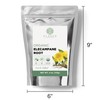 Elanen Naturals Organic Elecampane Root 4 oz. (113g), USDA Certified