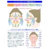Hippalon Face M (64 Pieces, 1 Month Supply) Face Training