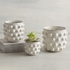 47th & Main Ceramic Planter Pot, 3" Tall, White Dot