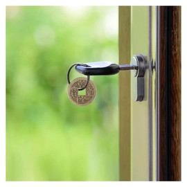 BOBOZHONG Chinese Lucky Coins, Pack of 50 Feng Shui I-Ching Coins, Lucky Coins, Chinese Feng Shui Coins, Lucky Buddha Lucky Coin, for Happiness, Health and Wealth