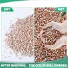 Succulent Rocks for Plants Tiny Pebbles for Planters 4.8LB Pea