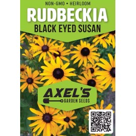 Axel's Garden Seeds Black Eyed Susan Seeds - Heirloom Perennial Non-GMO Flower Rudbeckia Seeds - 500 Seeds
