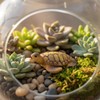 Ssmmam 2Pcs Miniature Sea Turtle Figurines for Fairy Garden, Fish
