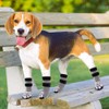 KOOLTAIL Dog Socks Non-Slip Dog Socks Paw Protector 2 Pairs