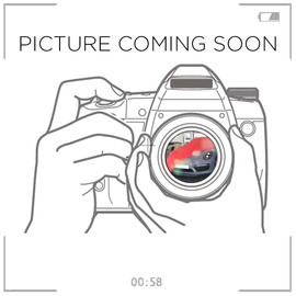 Short Rod Antenna Suitable for Subaru Forester | Mute Antenna