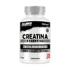 Testrol Creatina Essential Creatina Monohidratada Apoyo a Potencia, Resistencia y