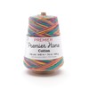 Premier Yarns Home Cotton Cone Yarn, Ideal Knitting and Crochet