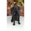 Vivid arts hollow resin black labrador 21cm