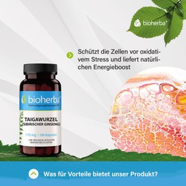 Bioherba Siberian Ginseng 420mg 100 Capsules