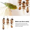 Parakeet Beak Stone Parrots Trimming Chew Toys Set Bird Nuts