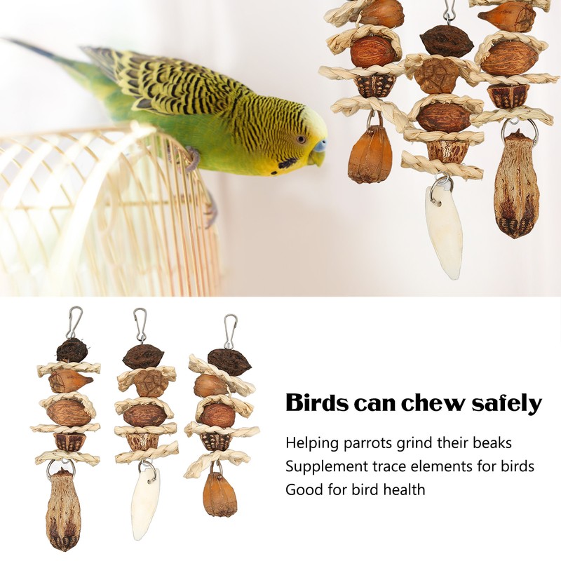 Parakeet Beak Stone Parrots Trimming Chew Toys Set Bird Nuts