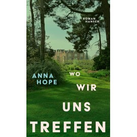 Wo wir uns treffen: Roman