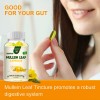 3 Bottles Mullein Leaf Capsules Lung Cleanse Detox Herbal Dietary